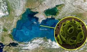 Svartehavet blir turkis på grunn av blomstringen av planteplankton: NASA-bilder av kokolitoforer