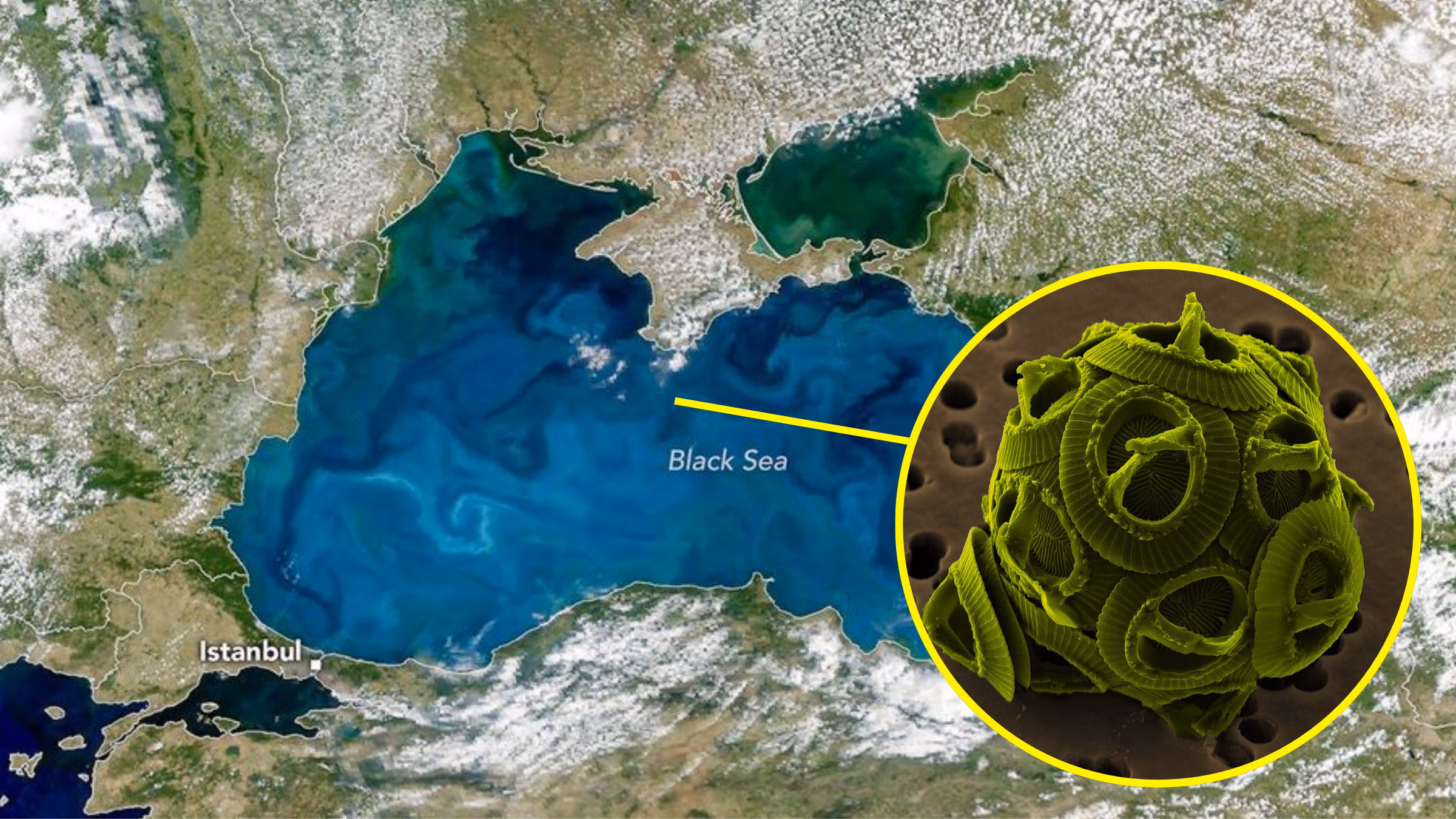 Svartehavet blir turkis på grunn av blomstringen av planteplankton: NASA-bilder av kokolitoforer
