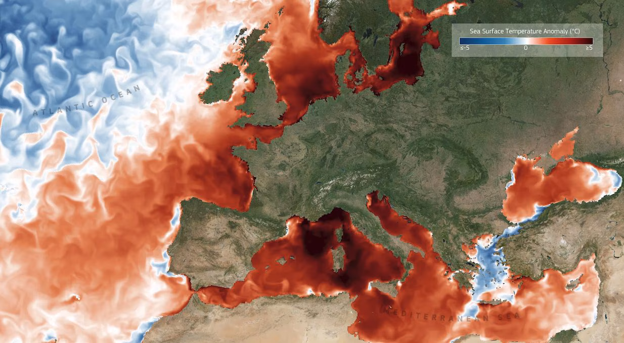 Rekordtemperaturer for havene, når 21 °C i juni med fare for å stige: Copernicus-data