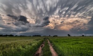 5 typer skyer med de sjeldneste og vakreste formene, hvordan de dannes: fra linseformet til mammatus
