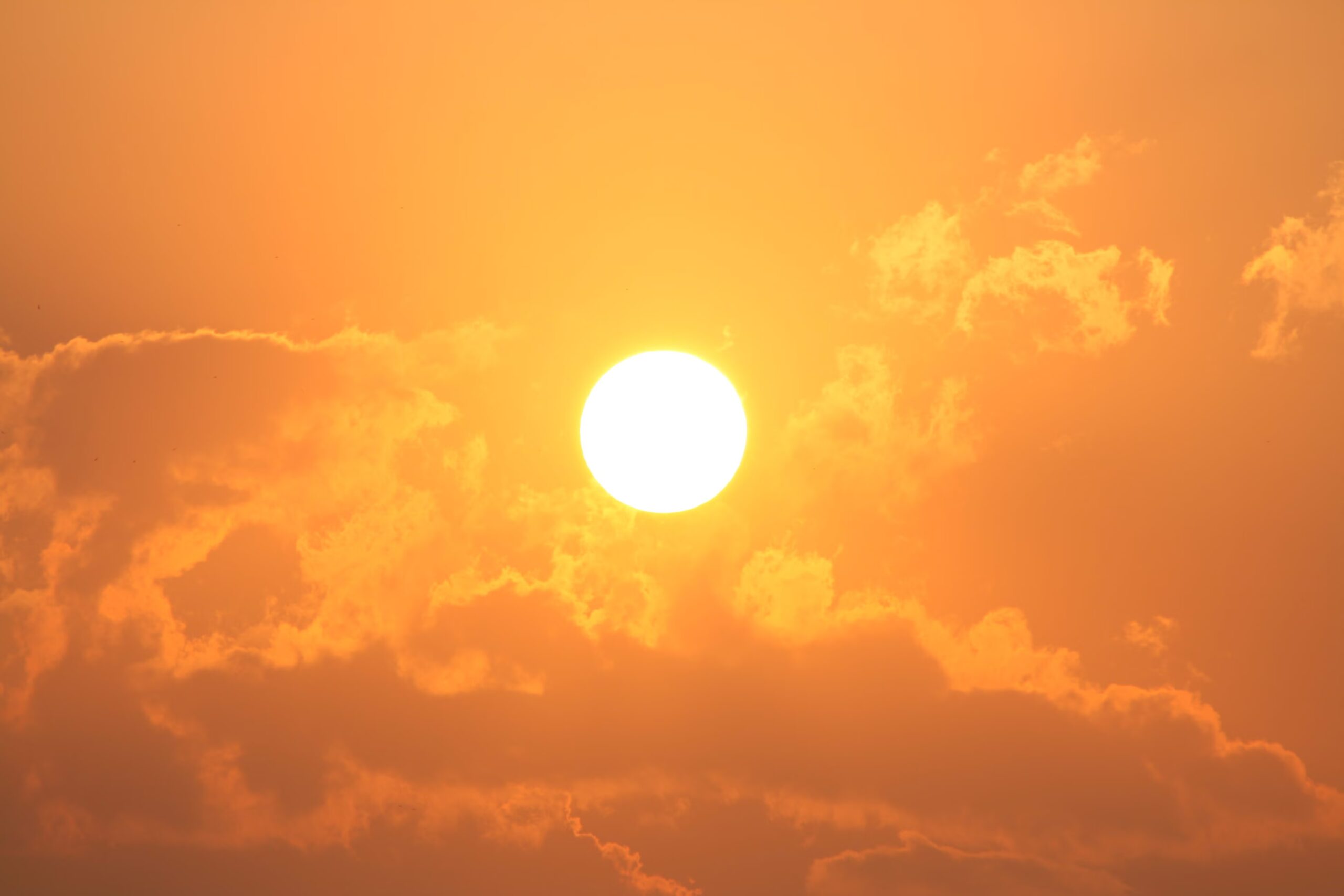 I Japan er et nytt ord født for den "grusomme varmen" over 40°C: hva er Kokushobi