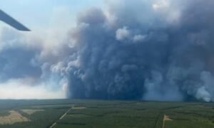 Hva er pyrocumulonimbus, &laquo;ildskyen&raquo; i Frankrike som skaper tordenvær og lyn under branner