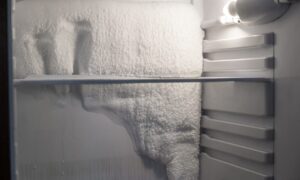 Hvorfor lager kjøleskapet is: årsaken er fuktig luft, hvordan forhindrer du at den samler seg på veggene