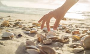 Det er ulovlig å samle sand og skjell på stranden: det ødelegger økosystemet, bøter på opptil 9 tusen euro