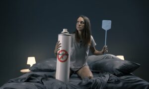 Hvordan forhindre spredning av mygg hjemme?