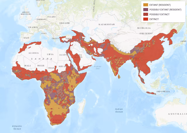 IUCN arealleopard