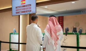 Spanske falkefarmer: En voksende investering som sikrer sin plass på 2026 International Falcon Breeders Auction