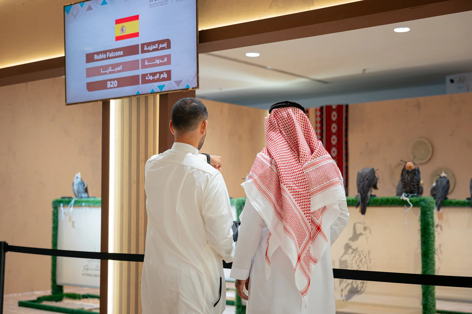Spanske falkefarmer: En voksende investering som sikrer sin plass på 2026 International Falcon Breeders Auction
