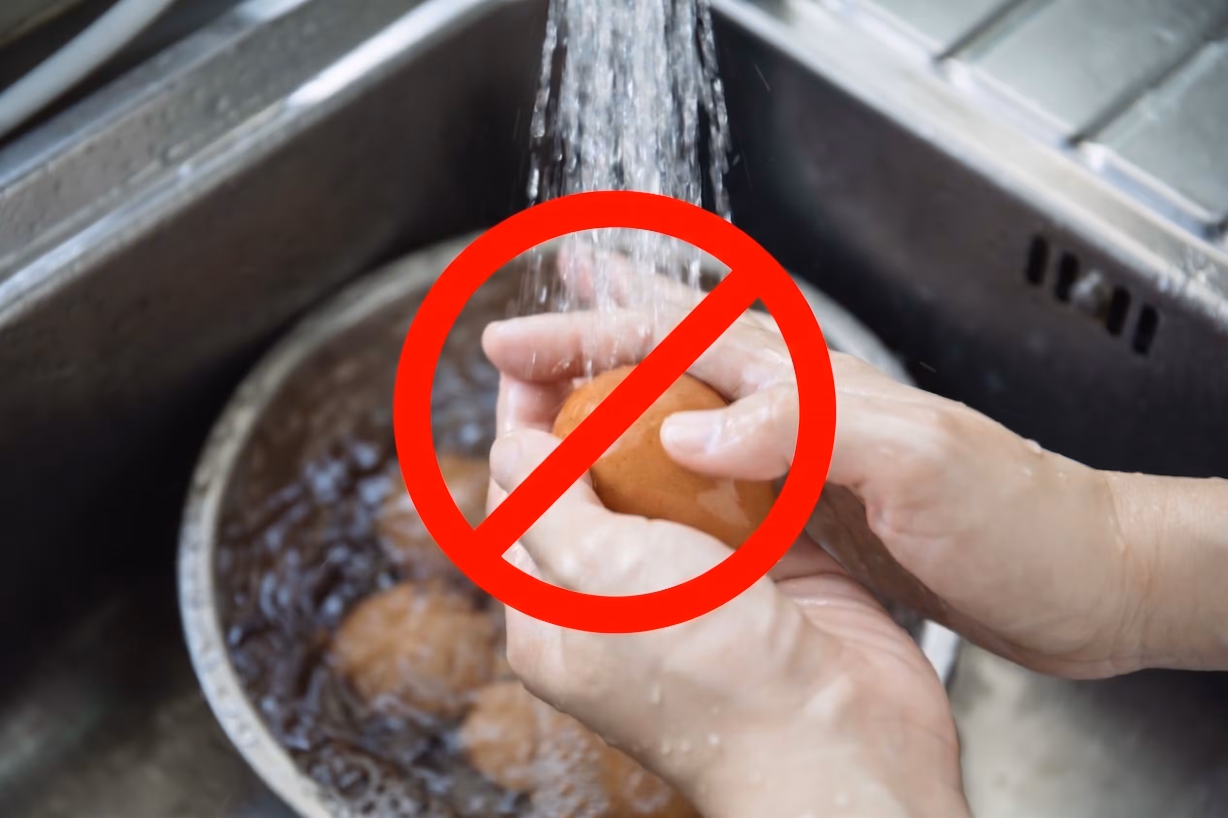 Hvorfor egg ikke skal vaskes: det skader det beskyttende skjellaget mot bakterier, EU-lovgivning