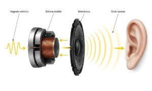 Slik fungerer hodetelefoner: fra magneten til membranen, dette er hvordan høyttaleren forvandler signalet til musikk