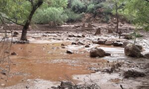 Flom ved Grand Canyon, evakuert og savnet: hva er en flom og mulige årsaker